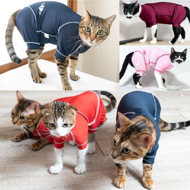 猫用抗菌・防臭機能付き皮膚保護服スキンウエア(R) (男女兼用/猫用/抗菌・防臭素材)