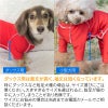 抗菌・防臭機能付き皮膚保護服スキンウエア(R)(男女兼用/ダックス・小型犬用/抗菌・防臭素材)