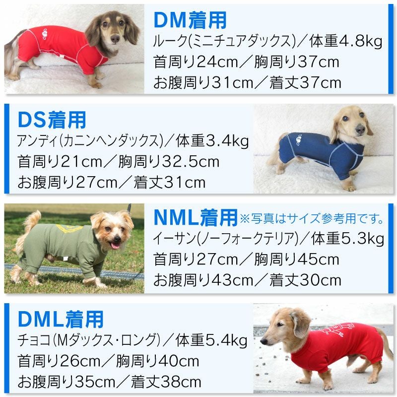 抗菌・防臭機能付き皮膚保護服スキンウエア(R)(男女兼用/ダックス・小型犬用/抗菌・防臭素材)