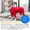 抗菌・防臭機能付き皮膚保護服スキンウエア(R)(男女兼用/中型犬用/抗菌・防臭素材)