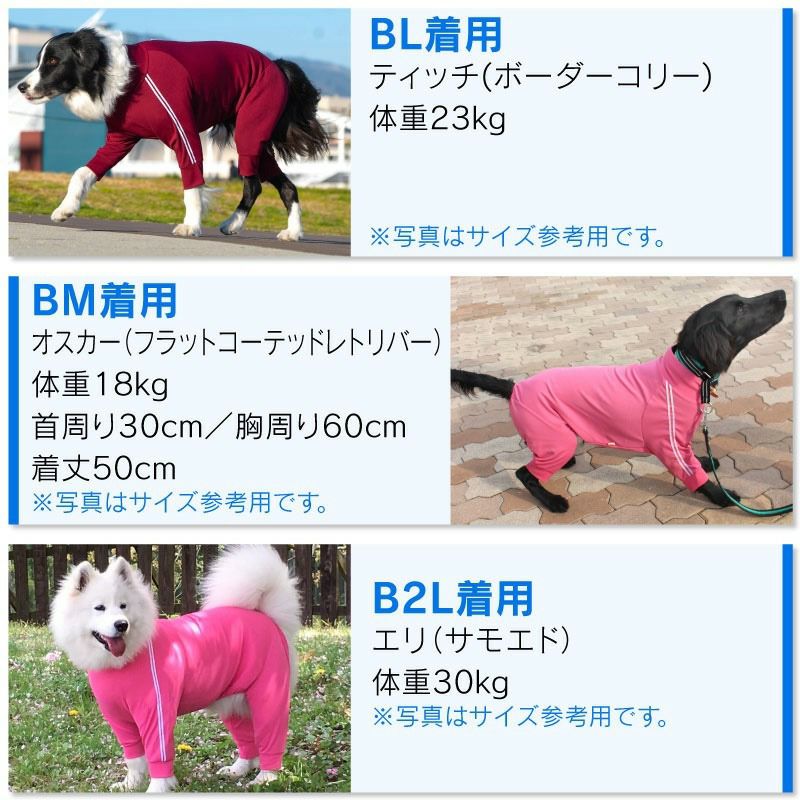 抗菌・防臭機能付き皮膚保護服スキンウエア(R)(男女兼用/大型犬用/抗菌・防臭素材)