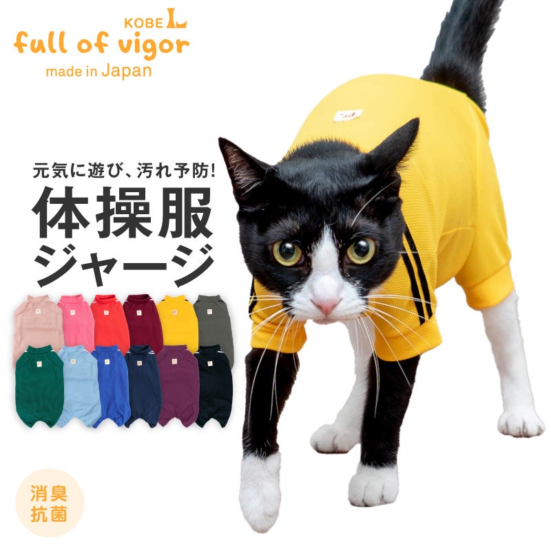 猫用体操服ジャージつなぎ