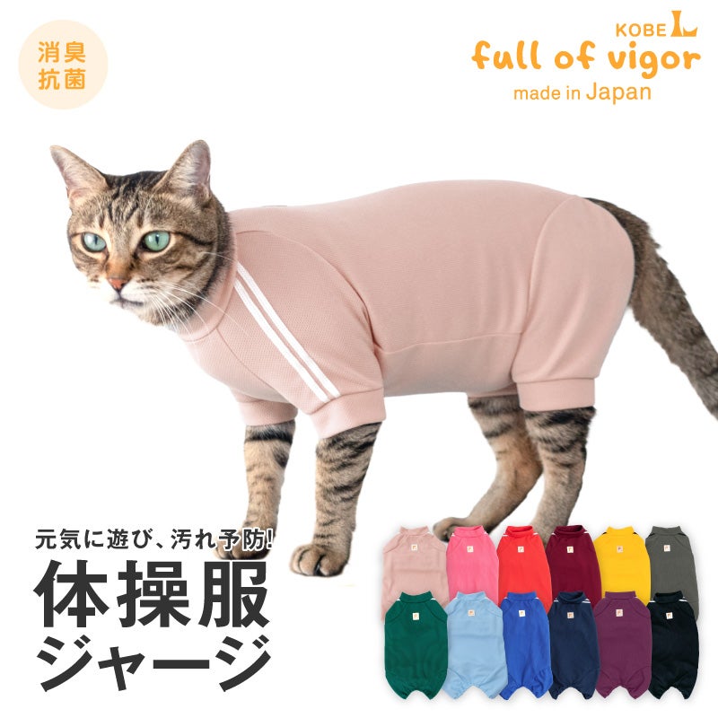 猫用体操服ジャージつなぎ