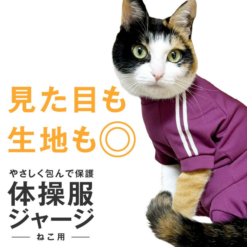 猫用 体操服 ジャージ つなぎ | ダックス、猫 、小型犬、中型犬、大型