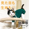 猫用体操服ジャージつなぎ