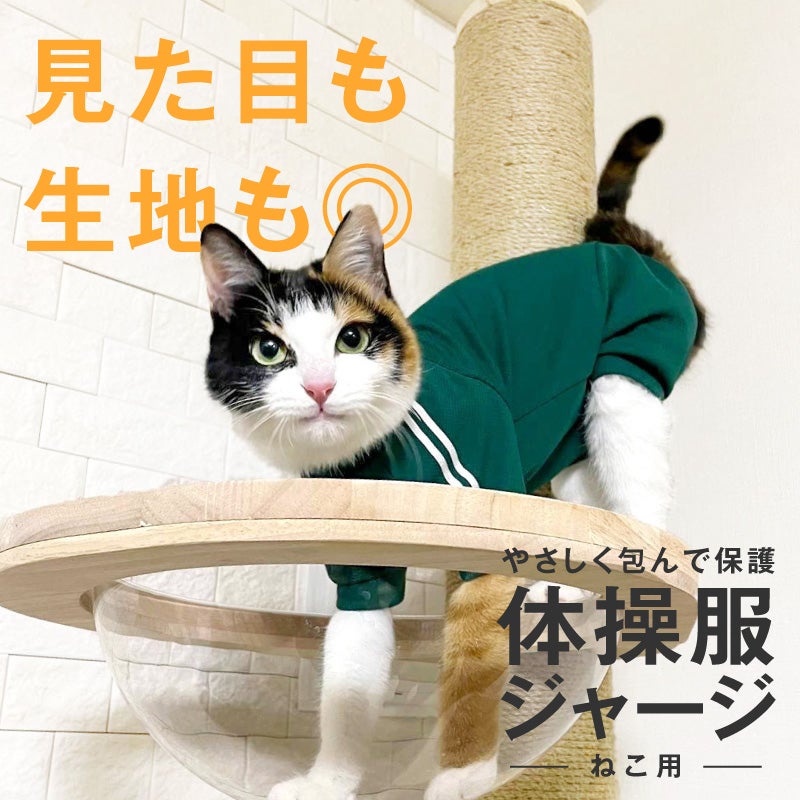 猫用体操服ジャージつなぎ