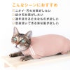 猫用体操服ジャージつなぎ
