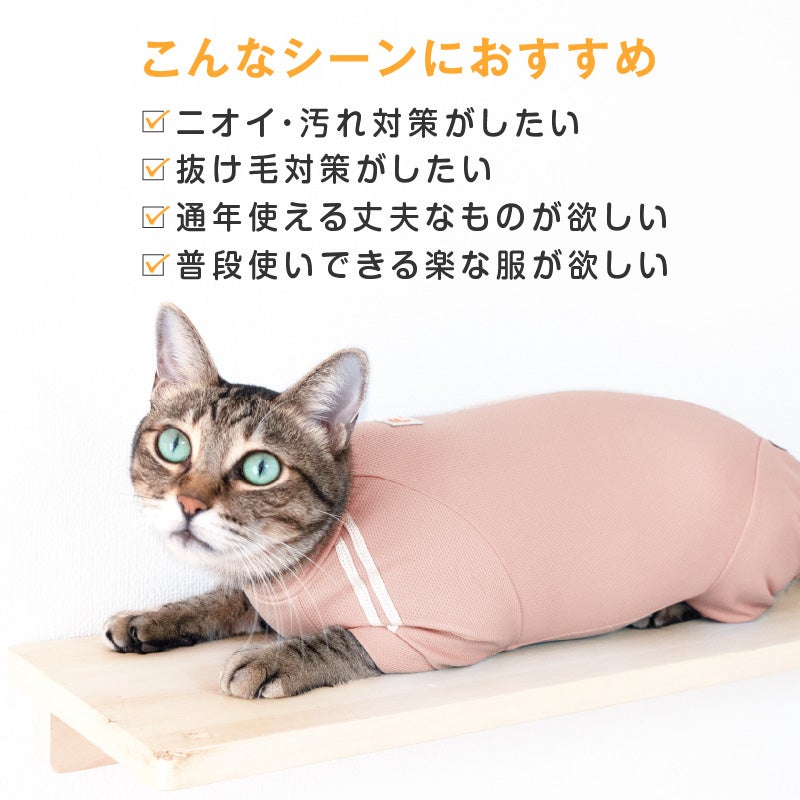 猫用体操服ジャージつなぎ