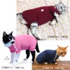 猫用体操服ジャージつなぎ