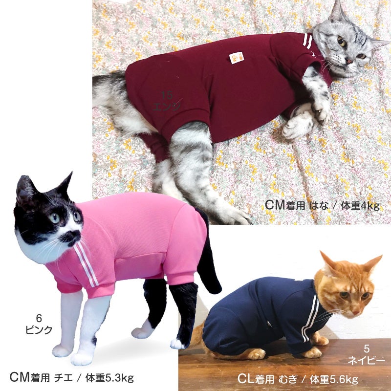 猫用体操服ジャージつなぎ