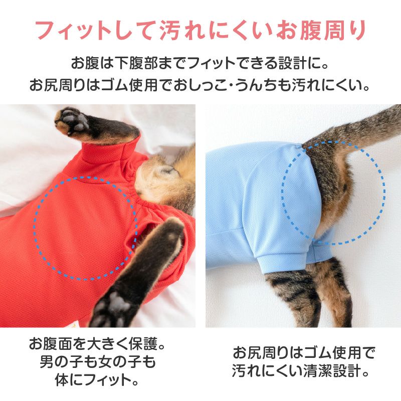 正規品 日本未発売  ジャージ ペットウェア 犬猫兼用 猫用 体操服 ジャージ つなぎ | ダックス、猫 、小型犬、中型犬、大型
