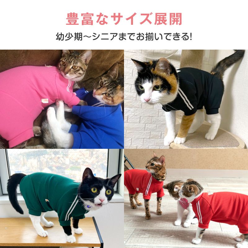 猫用 体操服 ジャージ つなぎ 体温調整 温度調整 | ダックス、猫
