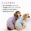シンプルベア天袖なしお部屋着(ダックス・小型犬用)