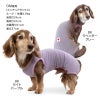 シンプルベア天袖なしお部屋着(ダックス・小型犬用)