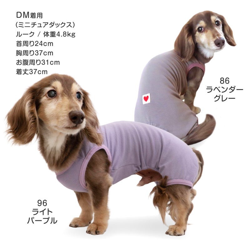 シンプルベア天袖なしお部屋着(ダックス・小型犬用)