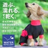 ドッグプレイ(R)撥水レインラッシュガード(ダックス・小型犬用)