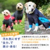 ドッグプレイ(R)撥水レインラッシュガード(ダックス・小型犬用)