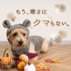 うさ耳ふわもこボアパーカー（ダックス・小型犬用）