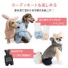 うさ耳ふわもこボアパーカー（ダックス・小型犬用）