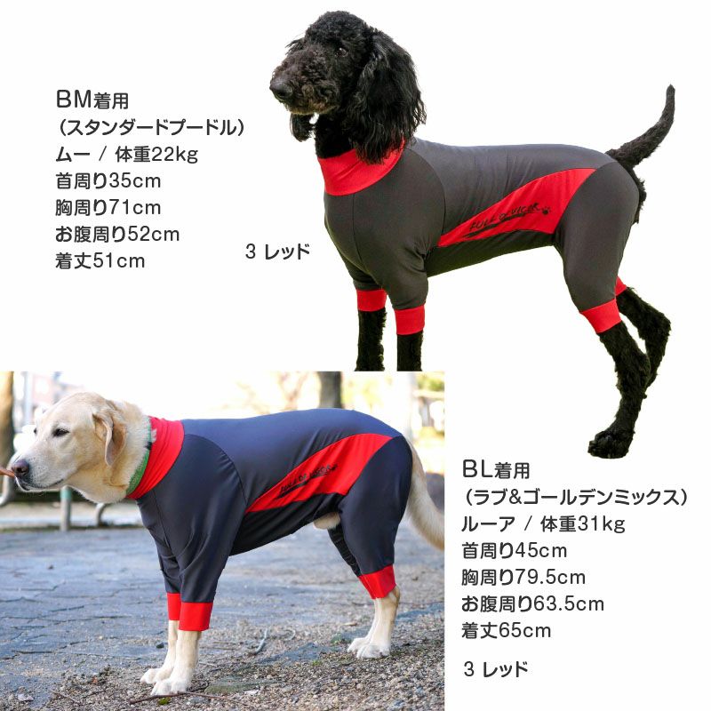 WATER DOG GARDEN 犬服(中型犬) 赤×紺 中型犬用 伸びて 着せやすい ドッグプレイ(R) 撥水 ラッシュガード