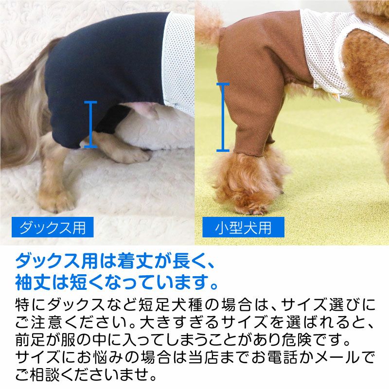 メッシュ インナー付 ストレッチ テレコ スパッツ ダックス 小型犬用