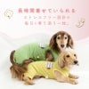 ボーダーポケットベア天袖なしお部屋着(ダックス・小型犬用)