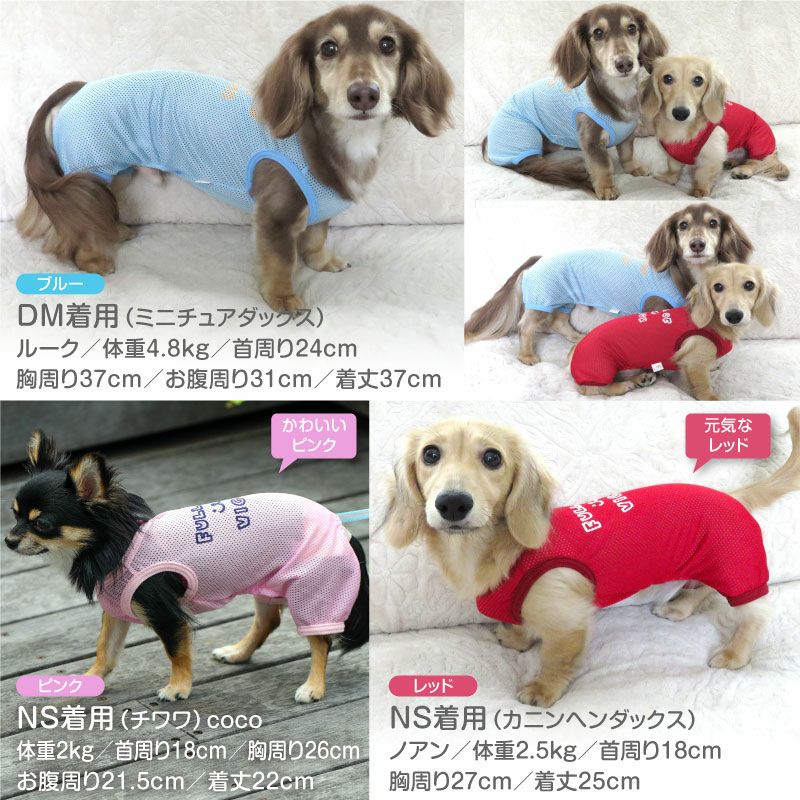 スマイルドッグ ❗️♦︎ メッシュシャツジャケット イラスト ロゴ プリント メッシュ つなぎ ダックス 小型犬用