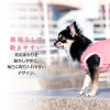 シンプル袖なしパイルお部屋着(ダックス・小型犬用)