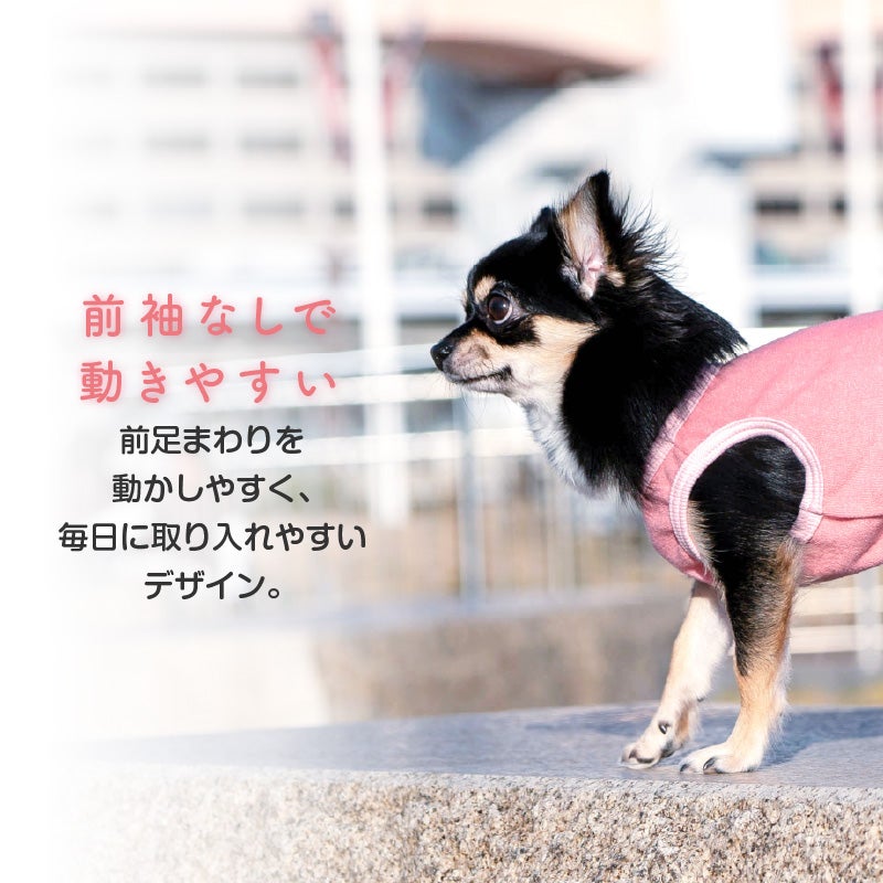 シンプル袖なしパイルお部屋着(ダックス・小型犬用)