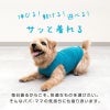シンプルベア天インナータンク(ダックス・小型犬用)