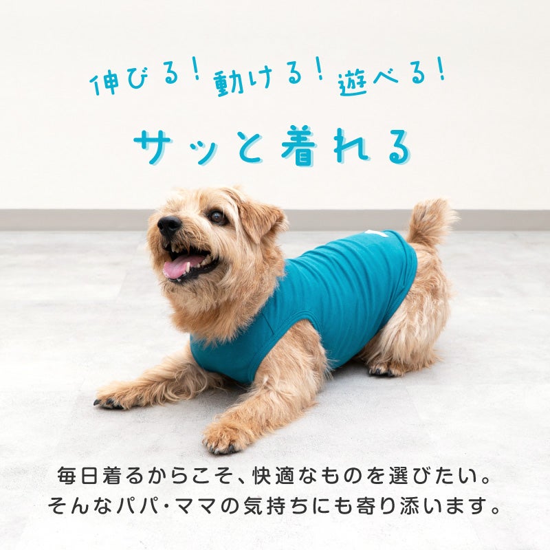 シンプルベア天インナータンク(ダックス・小型犬用)