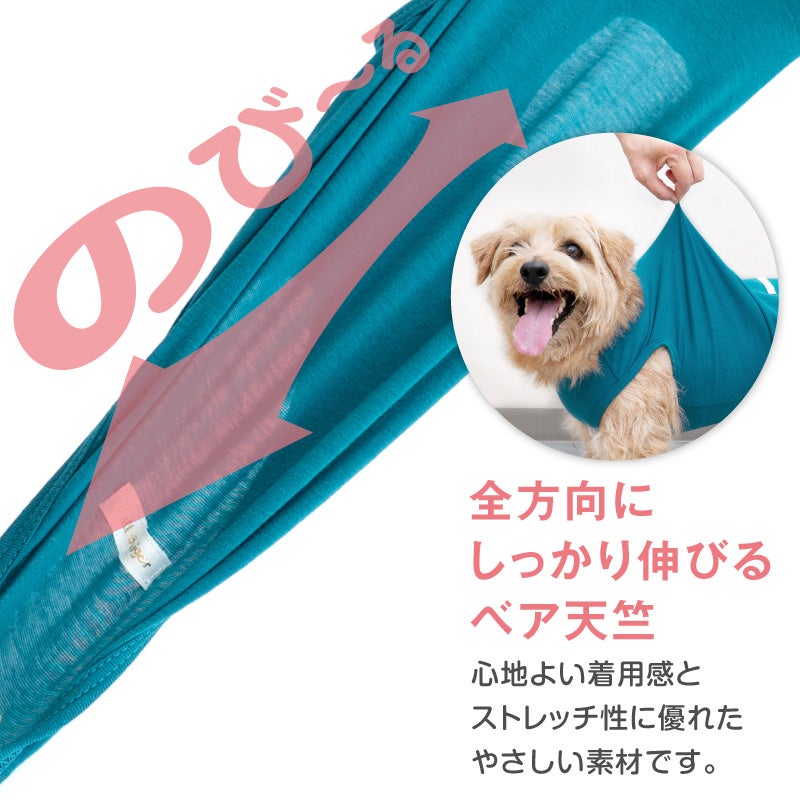 シンプルベア天インナータンク(ダックス・小型犬用)