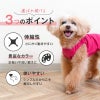 シンプルベア天インナータンク(ダックス・小型犬用)