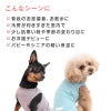シンプルベア天インナータンク(ダックス・小型犬用)
