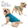 シンプルベア天インナータンク(ダックス・小型犬用)