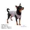 シンプルベア天インナータンク(ダックス・小型犬用)