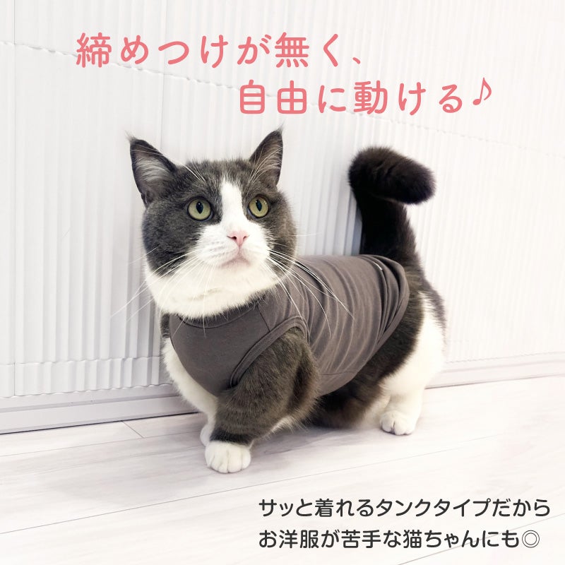 猫用シンプルベア天インナータンク