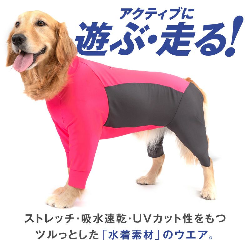 大型犬　超大型犬　晴れ着　ピンク 晴れ着（大型犬用）