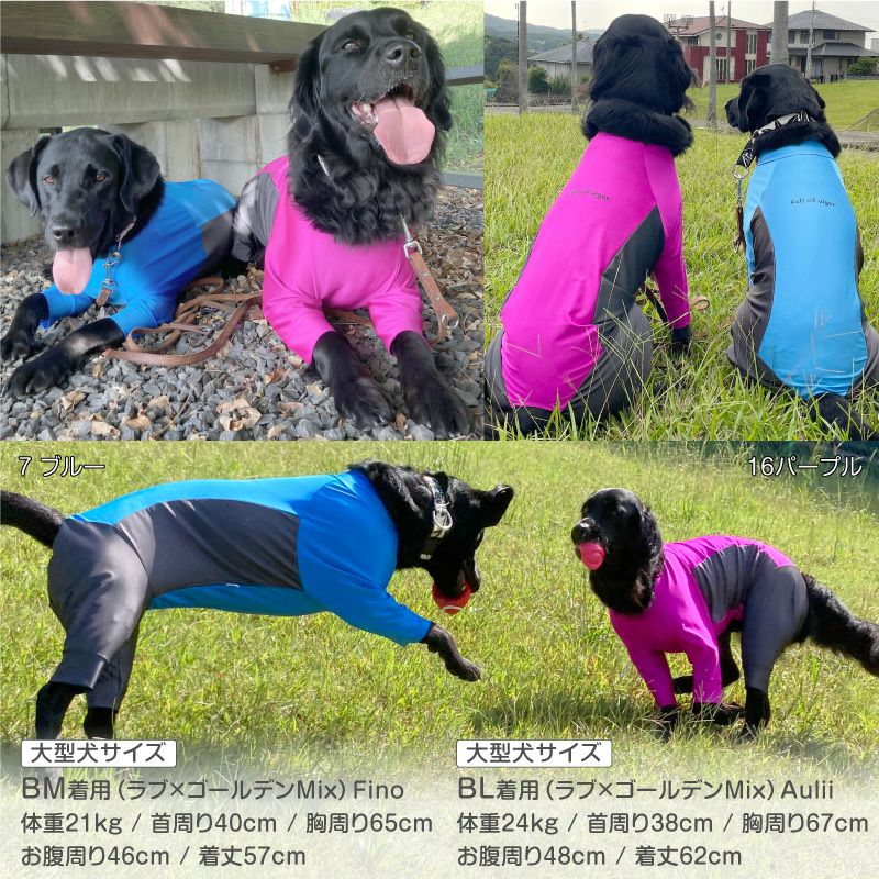 大型犬用 伸びて 着せやすい ドッグプレイ(R) サイド切替 ラッシュ