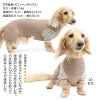 ウォームボーダー長袖つなぎ(ダックス・小型犬用)