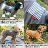 ボーダーポケットベア天長袖お部屋着(ダックス・小型犬用)