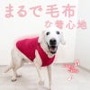 ハート刺しゅうふわもこボアタンク(大型犬用)