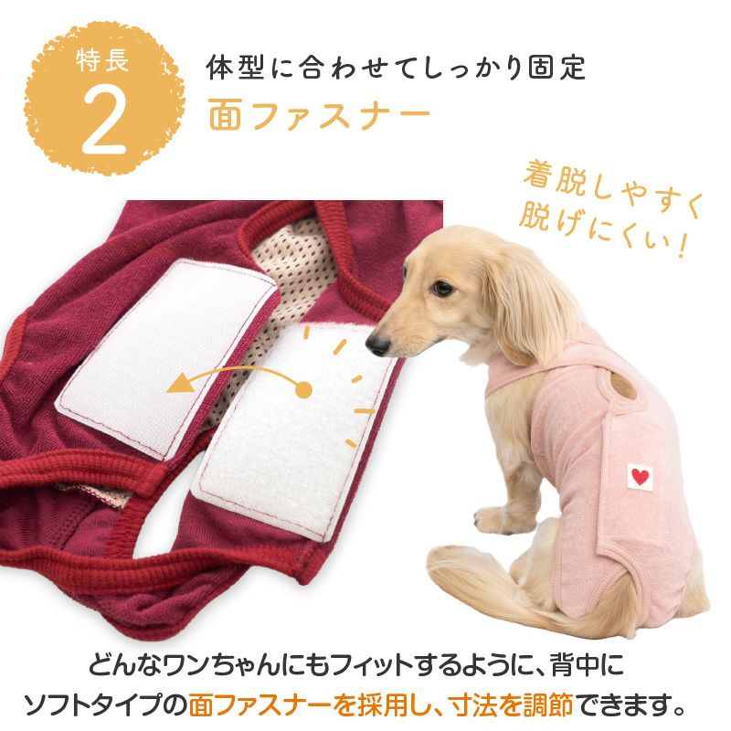 パイル 介護服 マナーガード(R) 男女兼用 ダックス 小型犬用