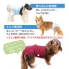 パイル介護服マナーガード(R)(男女兼用/ダックス・小型犬用)