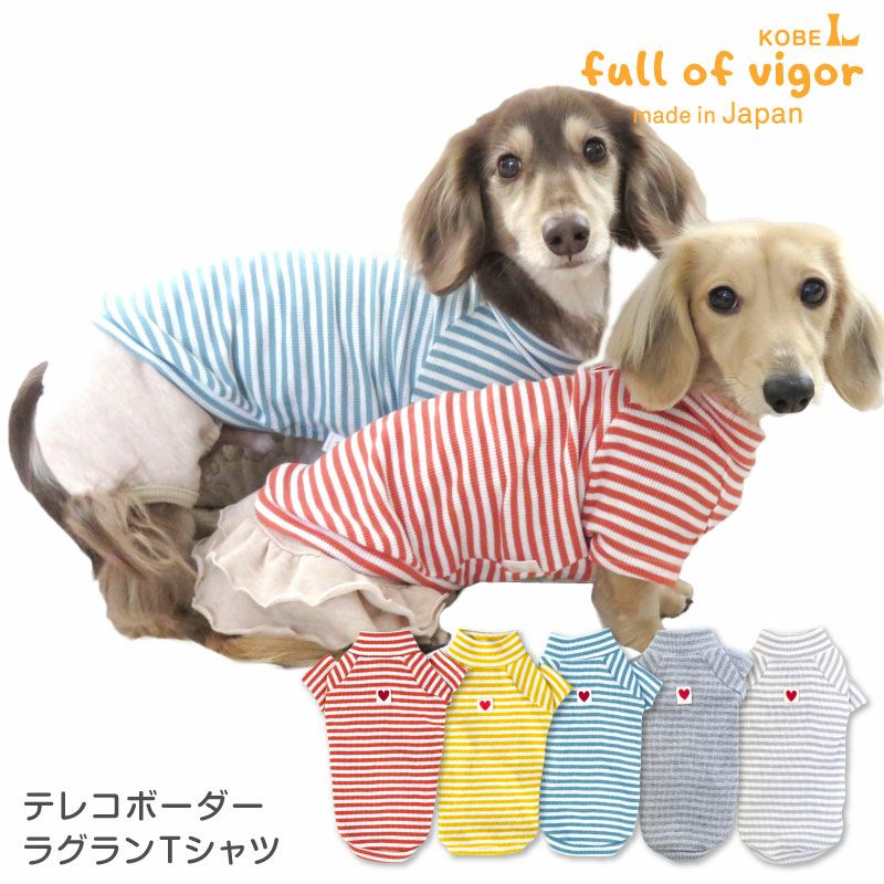 テレコ ボーダー ラグラン Tシャツ ダックス 小型犬用 | ダックス、猫
