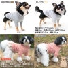 テレコボーダーラグランTシャツ(ダックス・小型犬用)