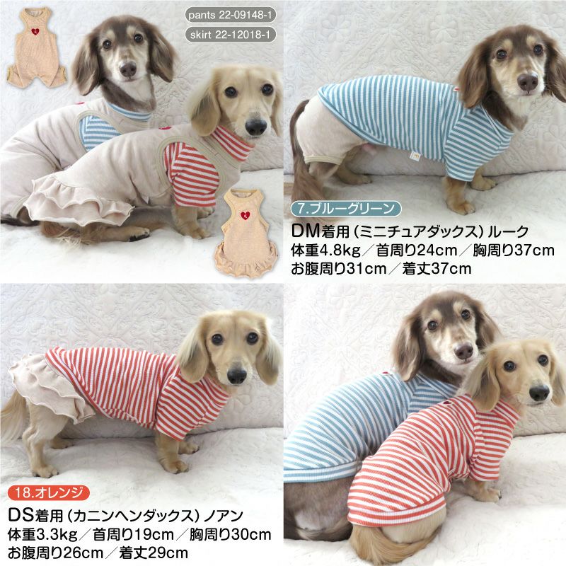 テレコ ボーダー ラグラン Tシャツ ダックス 小型犬用 | ダックス、猫
