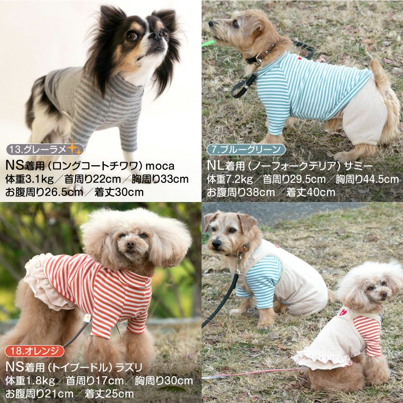 テレコ ボーダー ラグラン Tシャツ ダックス 小型犬用 | ダックス、猫