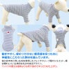 テレコボーダーラグランTシャツ(ダックス・小型犬用)