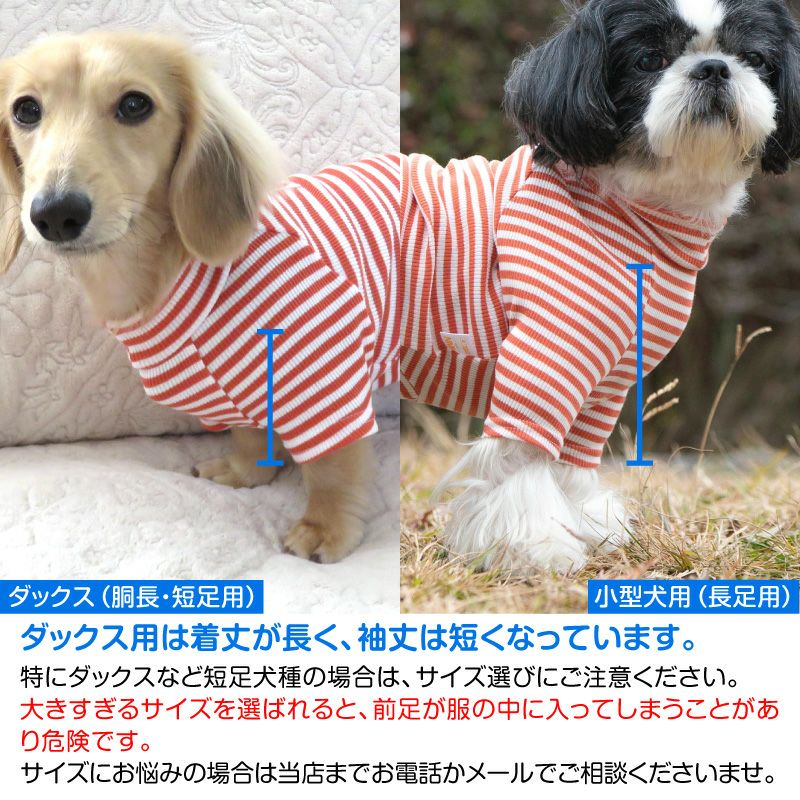 テレコ ボーダー ラグラン Tシャツ ダックス 小型犬用 | ダックス、猫